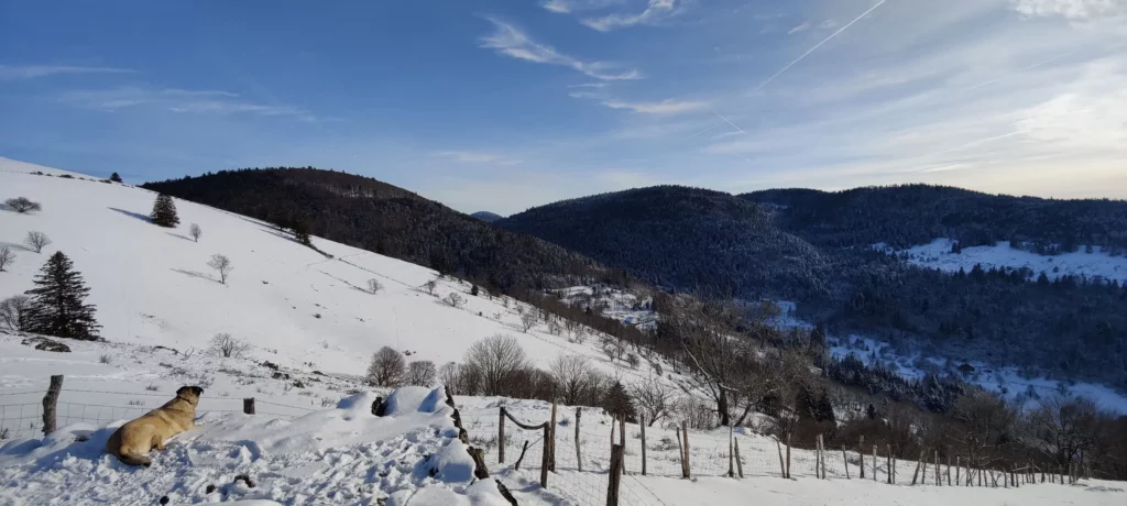 Séjour dans les Vosges vu sur neige