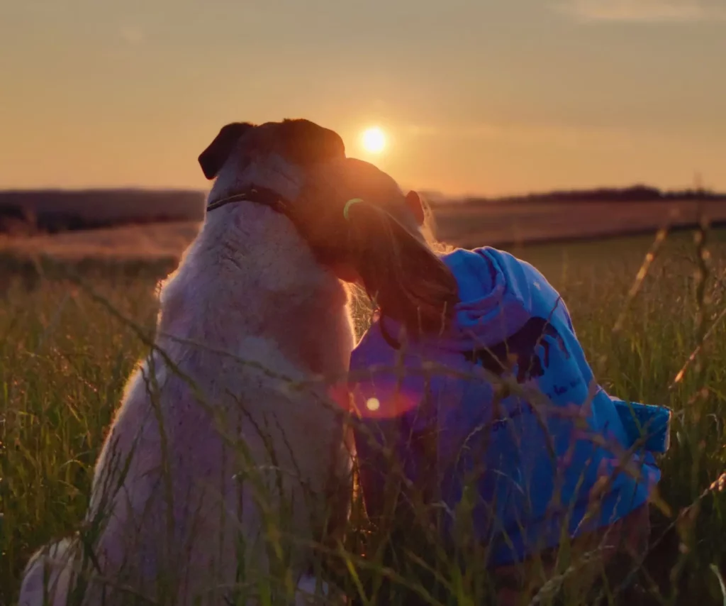 Séjour dans les Vosges fille qui fait un calin à un chien