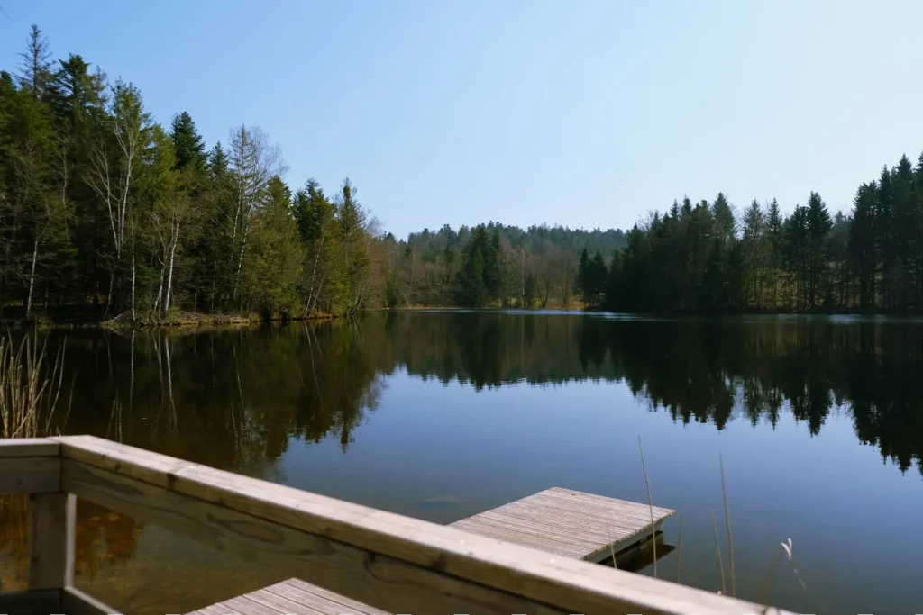 Séjour dans les Vosges plateau des milles étangs